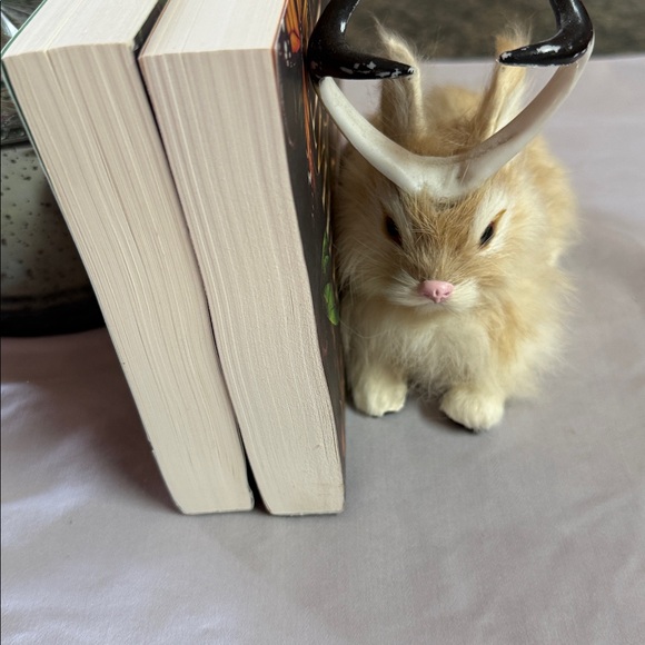 The Infatuated Fae Book Set by Jeneane O'Riley - Picture 10 of 10